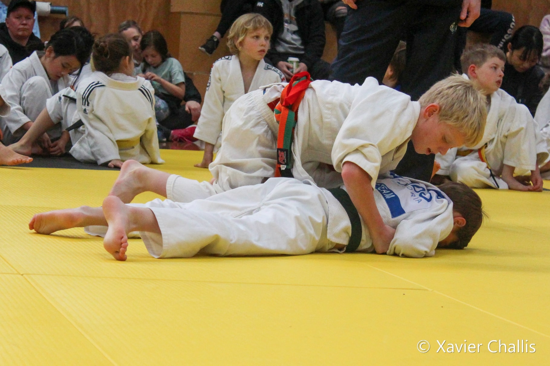 Y Geelong Judo Competition 40